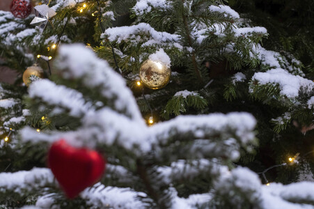 Symbolfoto Weihnachtsbaum