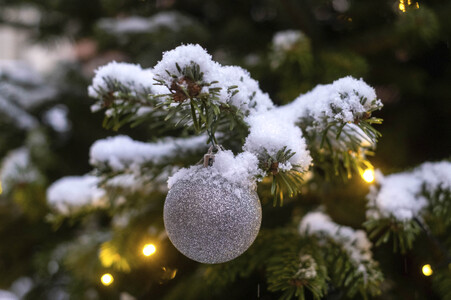 Symbolfoto Weihnachtsbaum