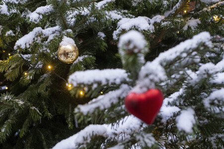 Symbolfoto Weihnachtsbaum