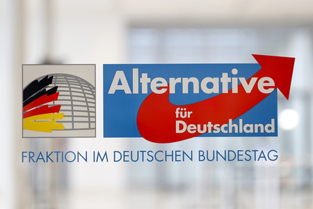 Symbolfoto AfD
