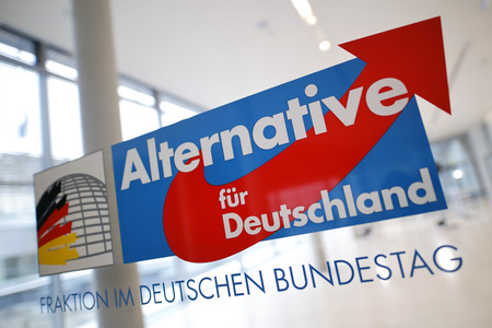 Symbolfoto AfD