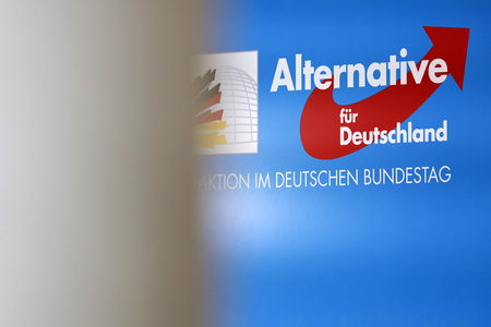 Symbolfoto AfD