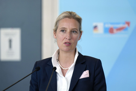 Fraktionssitzung der AfD-Bundestagsfraktion in Berlin