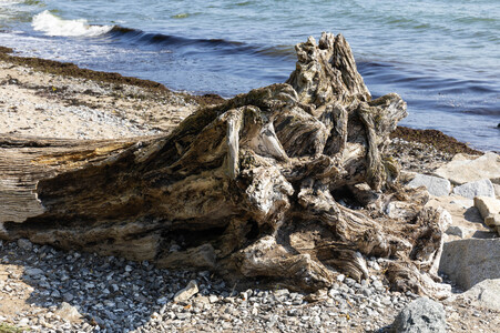 Sightseeing Sassnitz