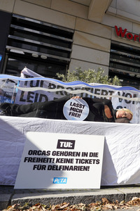 Sarah Connor protestiert mit der Tierrechtsorganisation PETA in Berlin