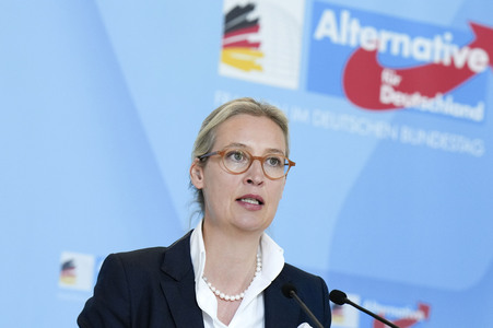 Fraktionssitzung der AfD-Bundestagsfraktion in Berlin