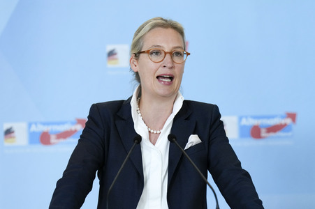 Fraktionssitzung der AfD-Bundestagsfraktion in Berlin