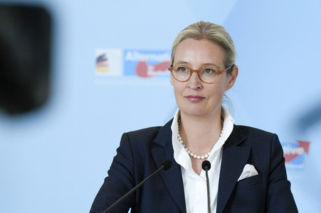 Fraktionssitzung der AfD-Bundestagsfraktion in Berlin