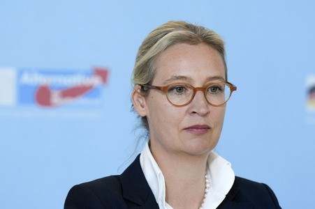 Fraktionssitzung der AfD-Bundestagsfraktion in Berlin