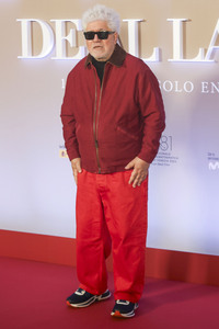 Photocall 'The Room Next Door' in Madrid