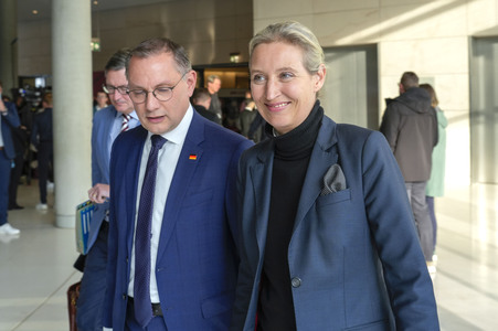 Fraktionssitzung der AfD-Bundestagsfraktion in Berlin