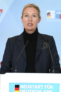 Fraktionssitzung der AfD-Bundestagsfraktion in Berlin