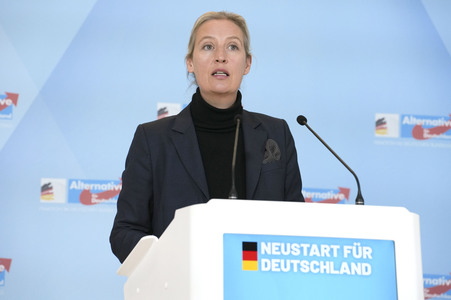 Fraktionssitzung der AfD-Bundestagsfraktion in Berlin