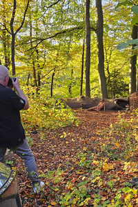 NATURE ART: Herbstlaub / Autumn Leaves Bodypainting