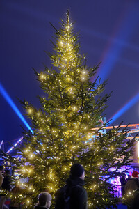 Weihnachtsmarkt 'Berliner Wintertraum' in Berlin