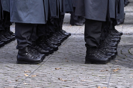 Feierliches Gelöbnis in Hannover