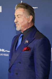 amfAR's Cinema Against Aids Gala in Las Vegas