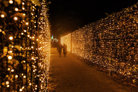 Christmas Garden 2024 in Dresden