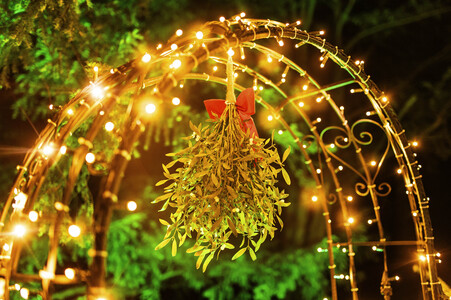 Christmas Garden 2024 in Dresden