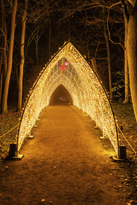 Christmas Garden 2024 in Dresden