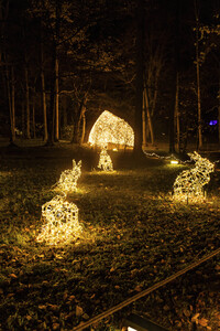 Christmas Garden 2024 in Dresden