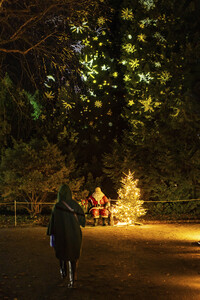 Christmas Garden 2024 in Dresden