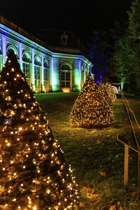 Christmas Garden 2024 in Dresden