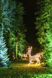 Christmas Garden 2024 in Dresden