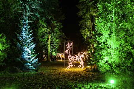 Christmas Garden 2024 in Dresden