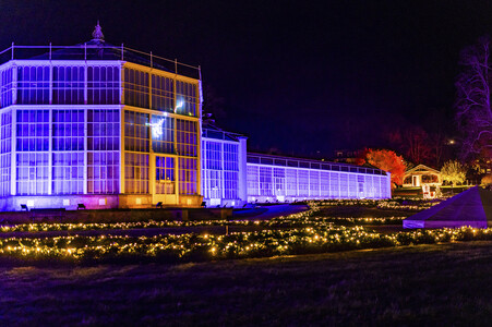 Christmas Garden 2024 in Dresden