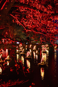 Christmas Garden 2024 in Dresden