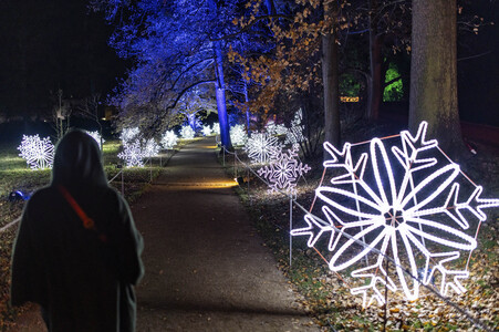 Christmas Garden 2024 in Dresden