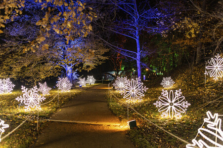 Christmas Garden 2024 in Dresden