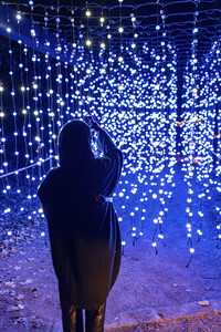 Christmas Garden 2024 in Dresden