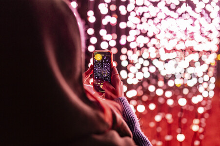 Christmas Garden 2024 in Dresden