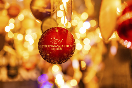 Christmas Garden 2024 in Dresden