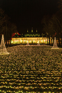 Christmas Garden 2024 in Dresden