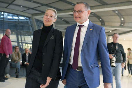 Fraktionssitzung der AfD-Bundestagsfraktion in Berlin