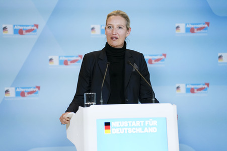 Fraktionssitzung der AfD-Bundestagsfraktion in Berlin