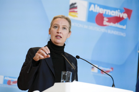 Fraktionssitzung der AfD-Bundestagsfraktion in Berlin