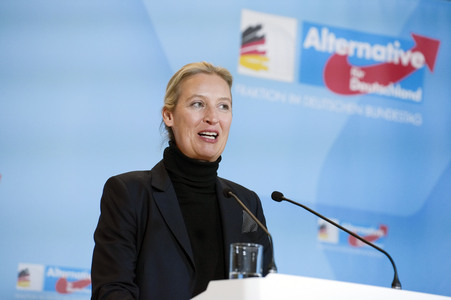 Fraktionssitzung der AfD-Bundestagsfraktion in Berlin