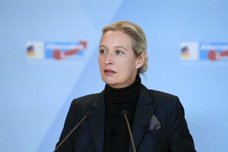 Fraktionssitzung der AfD-Bundestagsfraktion in Berlin