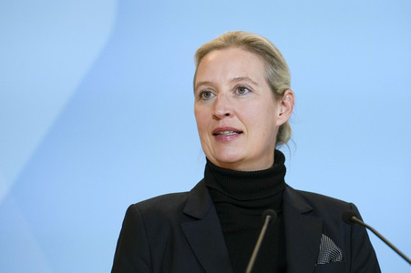 Fraktionssitzung der AfD-Bundestagsfraktion in Berlin