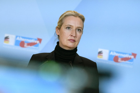 Fraktionssitzung der AfD-Bundestagsfraktion in Berlin