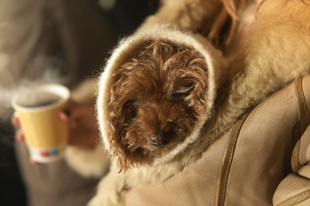 Alt-Rixdorfer Weihnachtsmarkt in Berlin
