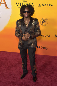 Filmpremiere 'Mufasa: Der König der Löwen' in Los Angeles