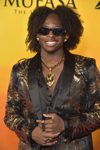 Filmpremiere 'Mufasa: Der König der Löwen' in Los Angeles