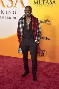 Filmpremiere 'Mufasa: Der König der Löwen' in Los Angeles