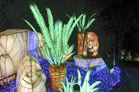 Magische Lichterwelten in Halle