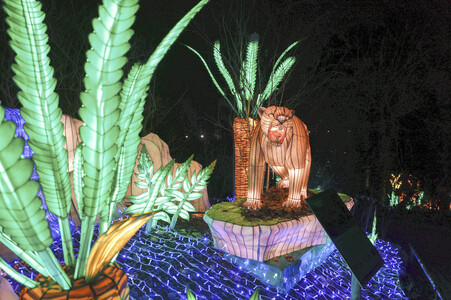 Magische Lichterwelten in Halle